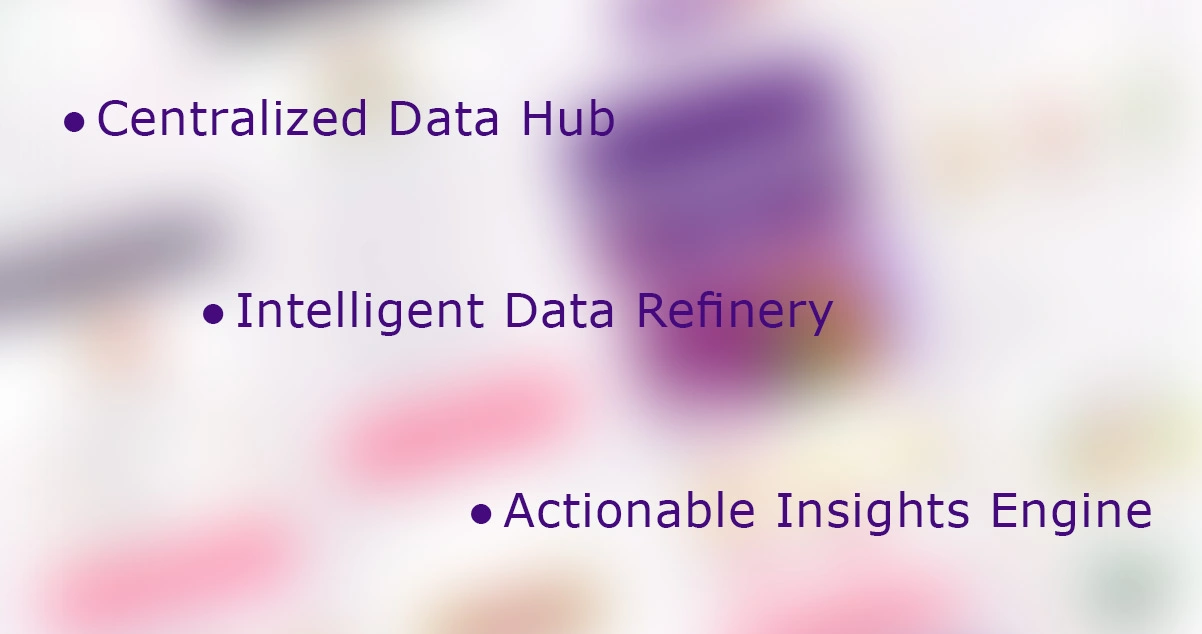 Implementation-Process